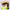 Balles de padel Raquex Elite – Tube de 3