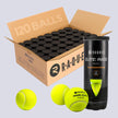 Raquex Elite Padelbälle – Tube mit 3 Stück