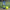 Raquex Elite Padel Balls – Tube of 3